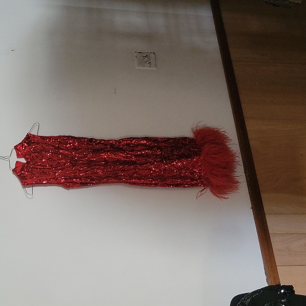 Red sequence  designer  feather  dress
